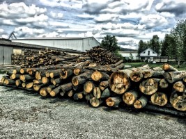 prodej suchého palivového dřeva